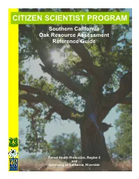 CITIZEN SCIENTIST PROGRAM Southern California Oak Resource Assessment Reference Guide
