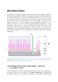 MYCOBACTERIA.Pdf