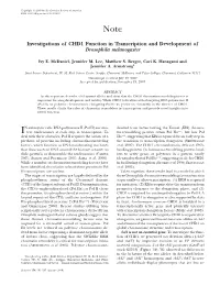 Investigations of CHD1 Function in Transcription and Development of Drosophila Melanogaster