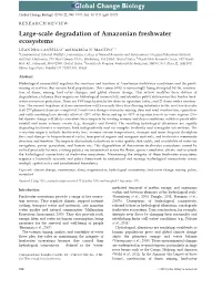 Large-Scale Degradation of Amazonian Freshwater Ecosystems