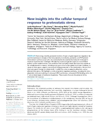 New Insights Into the Cellular Temporal Response to Proteostatic Stress