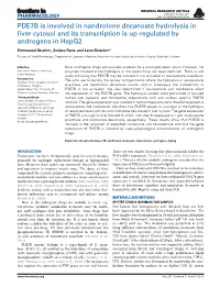 PDE7B Is Involved in Nandrolone Decanoate Hydrolysis in Liver Cytosol and Its Transcription Is Up-Regulated by Androgens in Hepg2