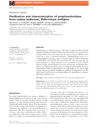 Purification and Characterization of Prophenoloxidase from Cotton