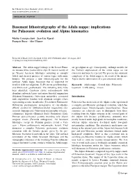 Basement Lithostratigraphy of the Adula Nappe: Implications for Palaeozoic Evolution and Alpine Kinematics