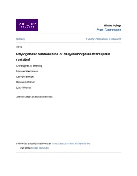 Phylogenetic Relationships of Dasyuromorphian Marsupials Revisited