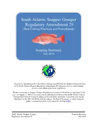 Snapper Grouper Regulatory Amendment 29 (Best Fishing Practices and Powerheads)