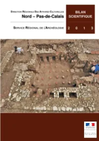 BSR 2013 Intro PDF 575 KO