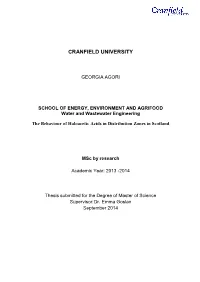Executive Summary of Progress Since the Last Meeting