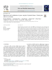 Expression and Localization of Grass Carp Pkc-Θ (Protein Kinase C Theta) Gene After Its Activation T