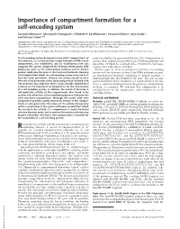 Importance of Compartment Formation for a Self-Encoding System