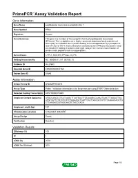 Primepcr™Assay Validation Report