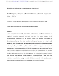 Synthesis and Evaluation of a Stable Isostere of Malonyllysine