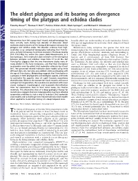 The Oldest Platypus and Its Bearing on Divergence Timing of the Platypus and Echidna Clades