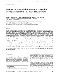 Evidence for Widespread Association of Mammalian Splicing and Conserved Long-Range RNA Structures