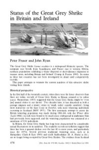 Status of the Great Grey Shrike in Britain and Ireland