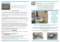 Wirral Matters, Spring 2018