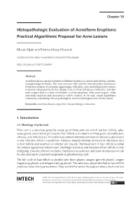Histopathologic Evaluation of Acneiform Eruptions: Practical Algorithmic Proposal for Acne Lesions 141