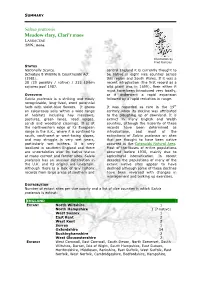 Salvia Pratensis Summary