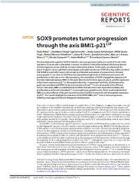 SOX9 Promotes Tumor Progression Through the Axis BMI1-P21cip