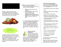 My Child, ______Why Is Your Child a Vegetarian? Seem Vegetarian, but Are Not
