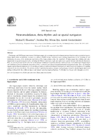 Neuromodulation, Theta Rhythm and Rat Spatial Navigation