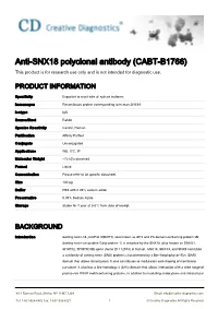 Anti-SNX18 Polyclonal Antibody (CABT-B1766) This Product Is for Research Use Only and Is Not Intended for Diagnostic Use