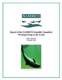 Report of the NAMMCO Scientific Committee Working Group on By-Catch