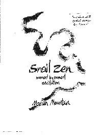 Some Early Pages of Snail