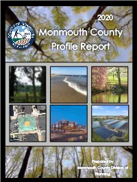2020 Profile Report