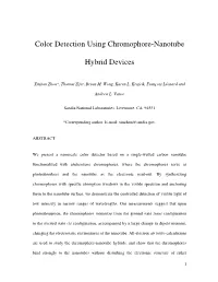 Color Detection Using Chromophore-Nanotube Hybrid