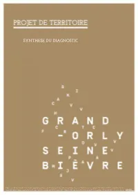 Synthese Du Diagnostic