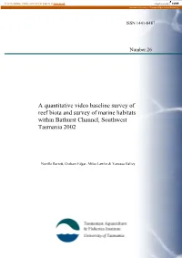 Bathurst Channel Video Baseline Final Report For