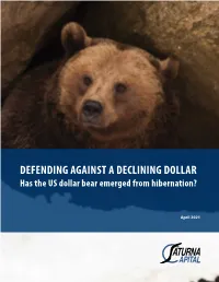 DEFENDING AGAINST a DECLINING DOLLAR Has the US Dollar Bear Emerged from Hibernation?