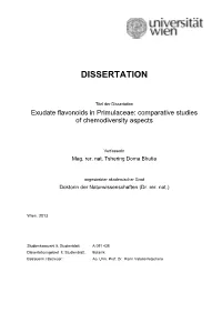 Dissertation