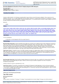 EGL Test Description