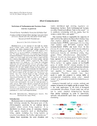 Short Communication Isolation of Bioluminescent Bacteria From