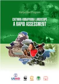 A Rapid Assessment