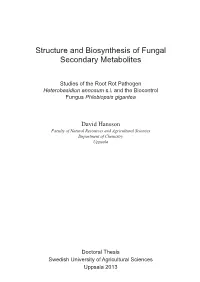 Structure and Biosynthesis of Fungal Secondary Metabolites