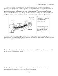Cytoskeleton and Cell Motility