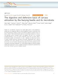 The Digestive and Defensive Basis of Carcass Utilization by the Burying Beetle and Its Microbiota
