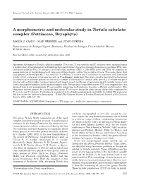 A Morphometric and Molecular Study in Tortula Subulata Complex (Pottiaceae, Bryophyta)