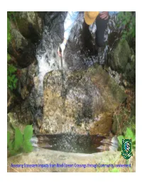 Assessing Ecosystem Impacts from Road-Stream Crossings Through
