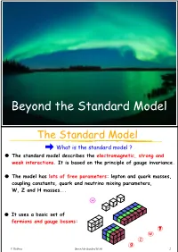 Beyond the Standard Model