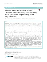 Genomic and Transcriptomic Analysis of Carbohydrate Utilization by Paenibacillus Sp