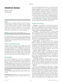 Intestinal Stomas Proximal the Ileostomy
