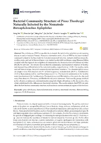 Bacterial Community Structure of Pinus Thunbergii Naturally Infected by the Nematode Bursaphelenchus Xylophilus
