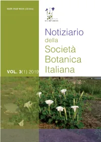Copertina in A4