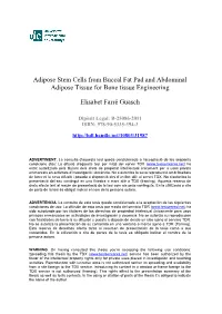Adipose Stem Cells from Buccal Fat Pad and Abdominal Adipose Tissue for Bone Tissue Engineering