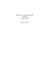 Bacillus Cereus Spore Formation, Structure and Germination