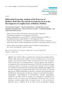 Differential Proteomic Analysis of the Pancreas of Diabetic Db/Db Mice Reveals the Proteins Involved in the Development of Complications of Diabetes Mellitus